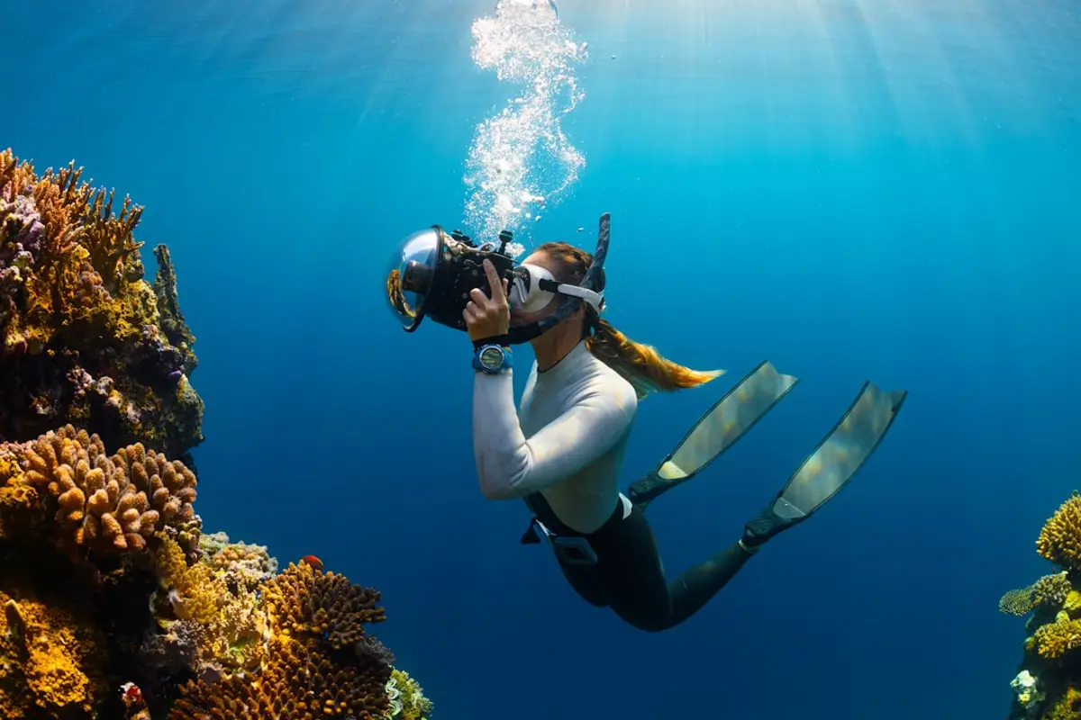 Underwater photographer framing macro life on a Sulawesi reef